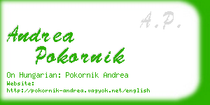 andrea pokornik business card